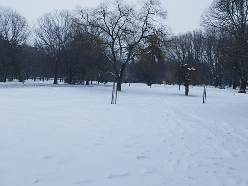 IMG 20260116 142414.jpg