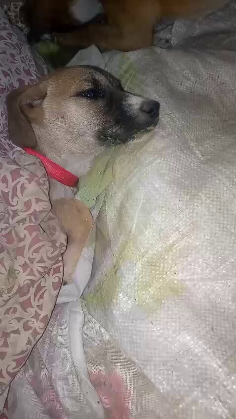 SCExmEN5p0azTQfi.jpg