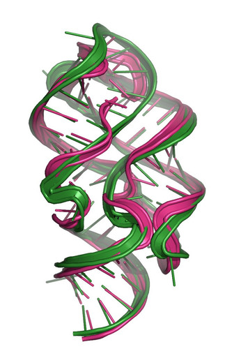G usU SXMAEHjwQ?format=jpg.jpg