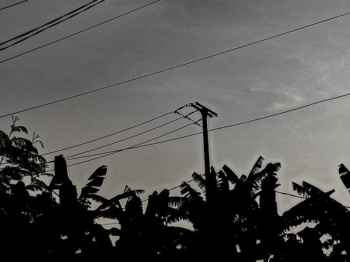 IMG 20250301 065935 845.jpg