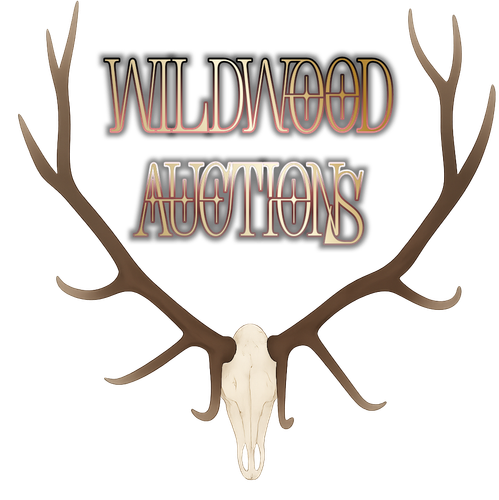 photostudio 1768705604495.png