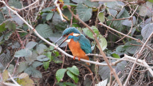 G 4oWQ8WoAAyQr3?format=jpg.jpg