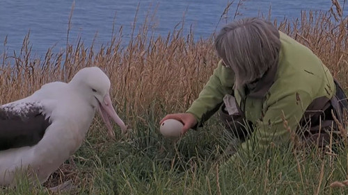 G 5rkQAXoAABRBi?format=jpg.jpg