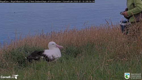 YwtdMm OdJfMZpDb.jpg