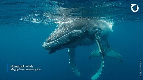 G 342OmXIAECQoF?format=jpg.jpg