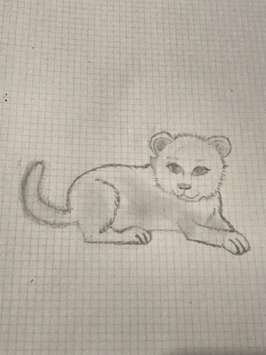 DE421ABA 34DC 4BF3 8409 E9AAD54628EE.jpg