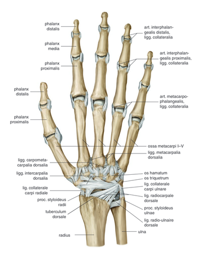 fd31214ab564.png