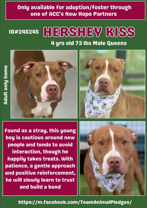 G 39X6SWQAAKmzW?format=png.png