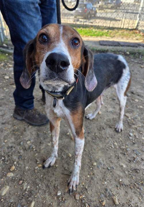 G 4UmAtW8AAei9D?format=jpg.jpg