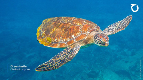 G 340 4WgAAjiCM?format=jpg.jpg