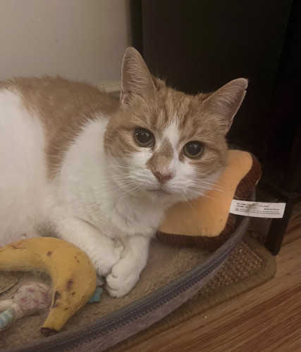 G 4rb36WwAA86 u?format=jpg.jpg