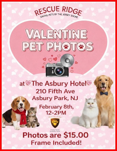 G 4biCQXYAA5HhM?format=jpg.jpg