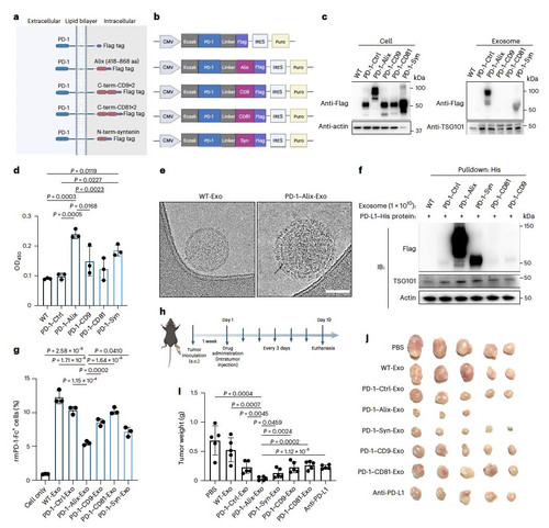 G 4gYepXUAAoh7i?format=jpg.jpg