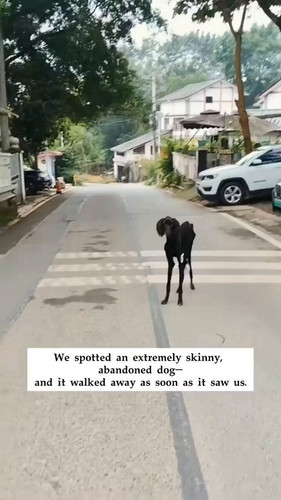 mBgzOT SpbQDikmd.jpg