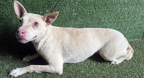 G ogAlAagAAdHd8?format=jpg.jpg