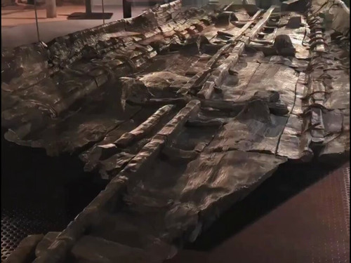 lQT5DrAPRwWf g7L.jpg