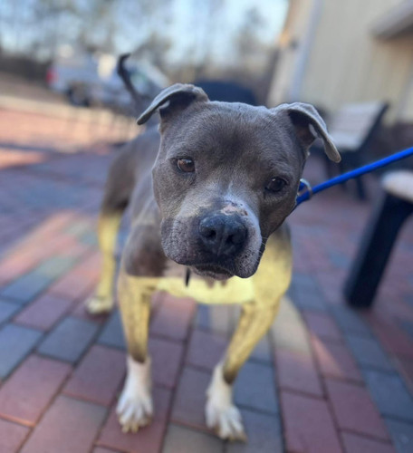 G 4y41uXYAAVxio?format=jpg.jpg