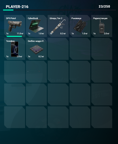 FiveM GTAProcess kauyES9CwG.png