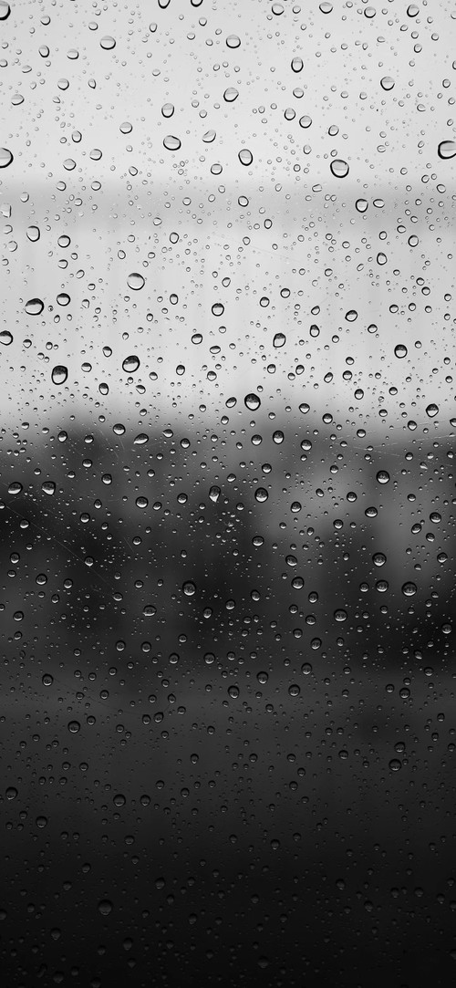 MEITU 20260118 054204434.jpg