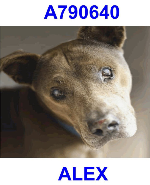 G 6PPiGXIAAWV7 ?format=jpg.jpg