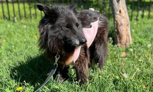 G 7Mg lWwAAGV C?format=jpg.jpg