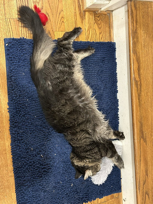 G txQlVbYAEQAlr?format=jpg.jpg