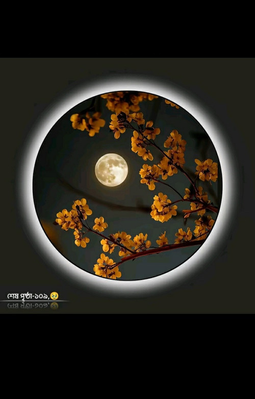 IMG 20260107 134840.jpg