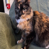 G 4I HNWEAAV3e7?format=png.png