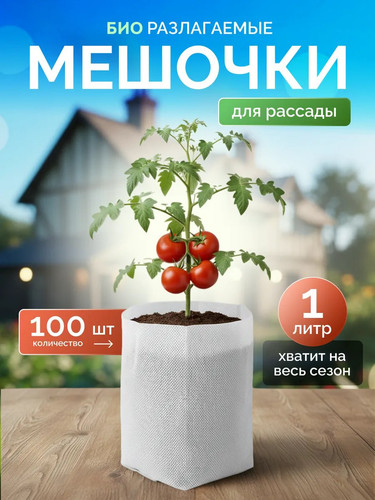 6008957876640091092 y 4.jpg