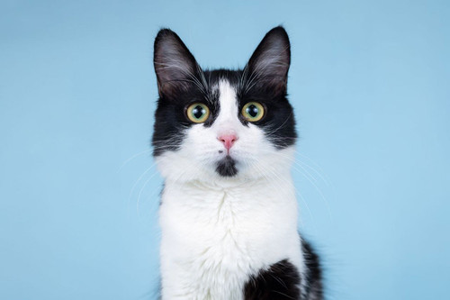 G 7sOgzWAAA9JUx?format=jpg.jpg