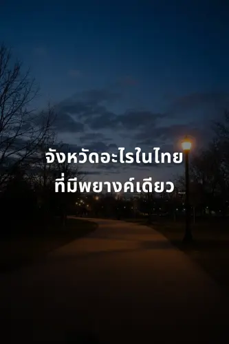 b5426691fc93.webp