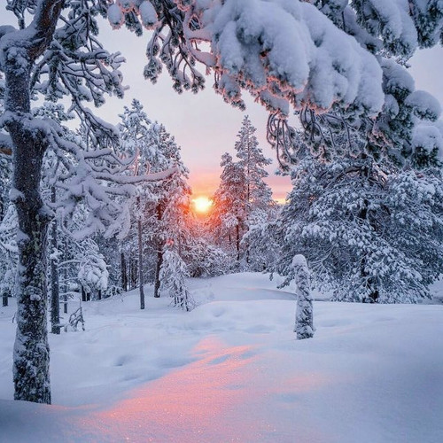 G 6j0 eXIAEFrCC?format=jpg.jpg