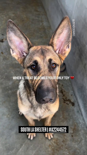 n Rfir67dusKwUxn.jpg