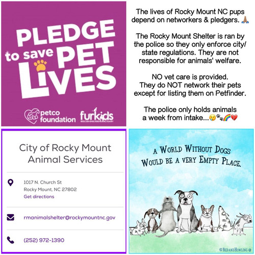 G ikANOXIAAAKDl?format=jpg.jpg