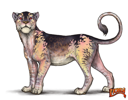 lioden wardrobe (43).png