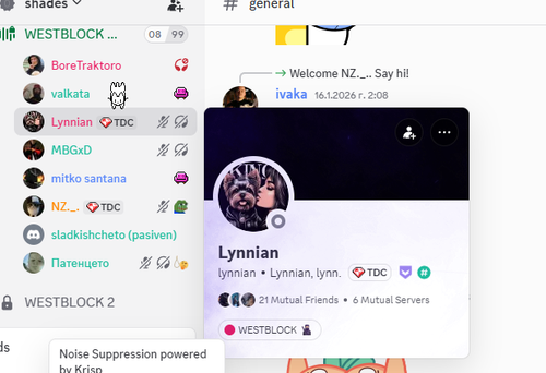 Discord nCmpfEEaJk.png