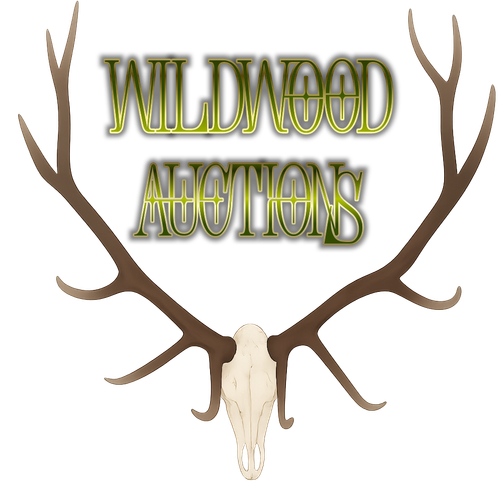 photostudio 1768712889973.png