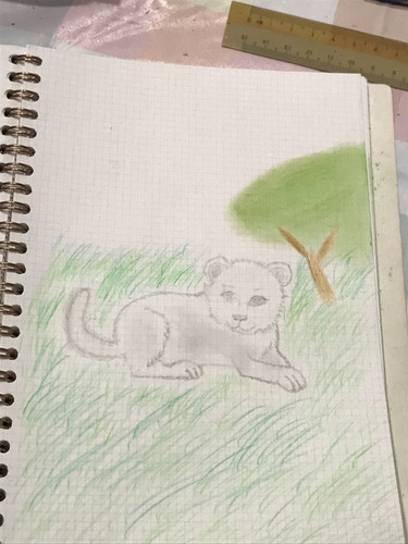 70FAFD4D 5340 4EF2 803D 794C4B628CC5.jpg