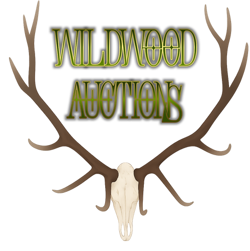 photostudio 1768711907777.png