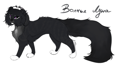 Без названия205 20260118105458.png