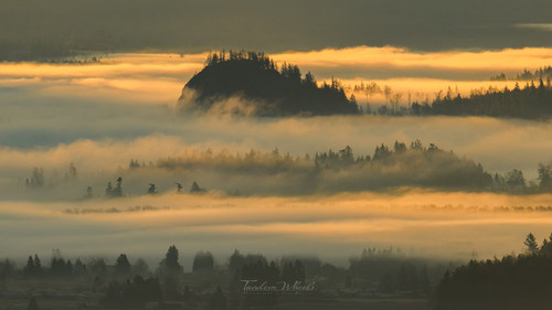 G 53xbzXoAA7Xab?format=jpg.jpg