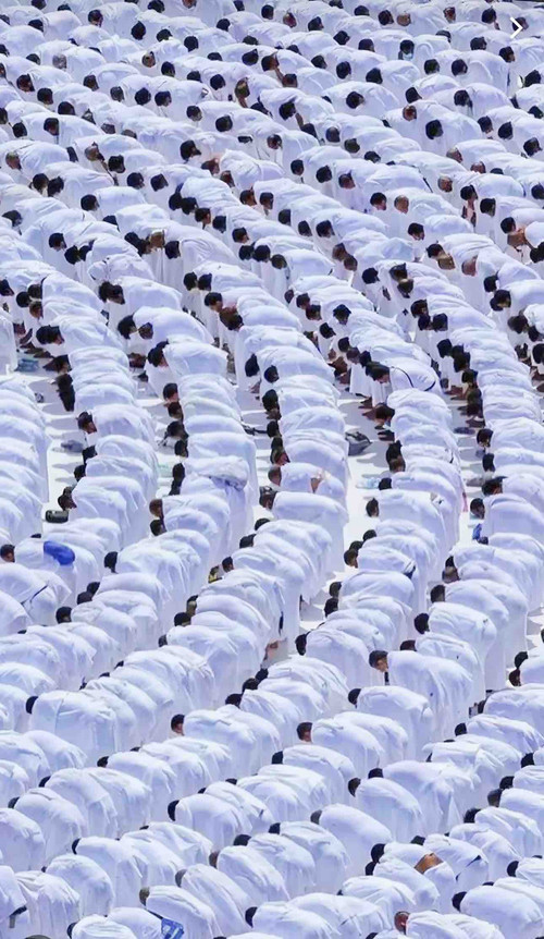 722C9AA6 44CB 47A4 976D 69BCD292F77D.jpg