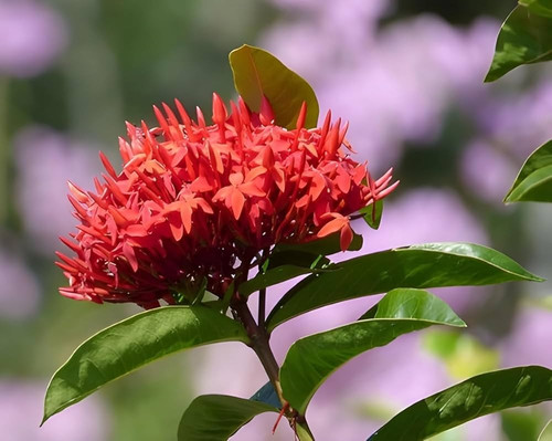 6184f jVxJL. AC UF1000,1000 QL80.jpg