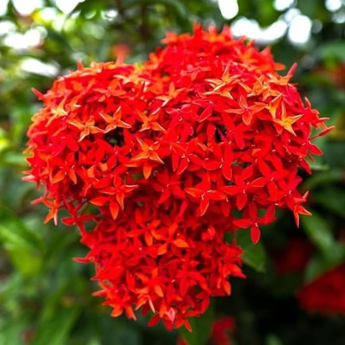 61ue6NLyvrL. AC UF1000,1000 QL80.jpg