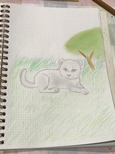 C59BE32B C0CD 47E4 ABF5 DBE0DEBE960F.jpg