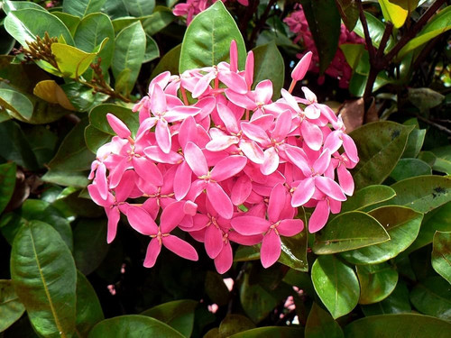 81DXKlQDa2L. AC UF1000,1000 QL80.jpg