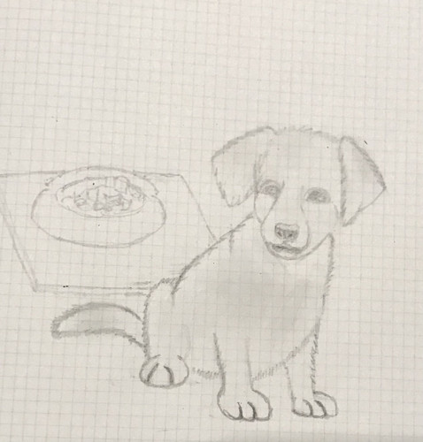 66625EC6 5C24 424F 82E9 00BF1768488C.jpg