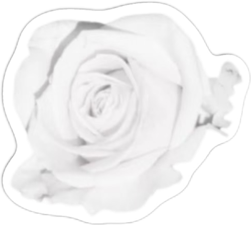 IMG 1330.png