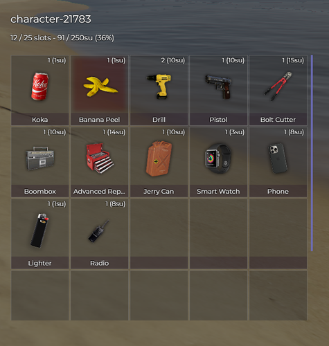 FiveM b3570 GTAProcess YZanNYE0x2.png
