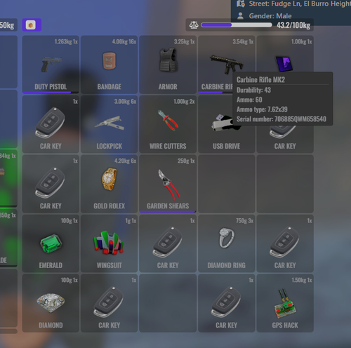 FiveM GTAProcess bNazMHHDOY.png